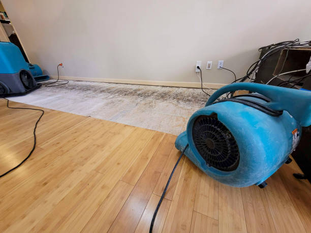 Professional Burst Pipe Water Damage technician working in Pittstown, NJ